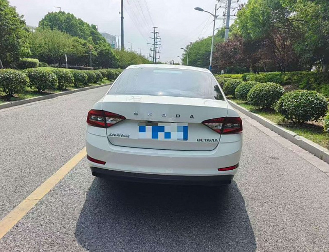 Skoda Octavia 1.5 л 2021 г. Белый, пробег 50000 км