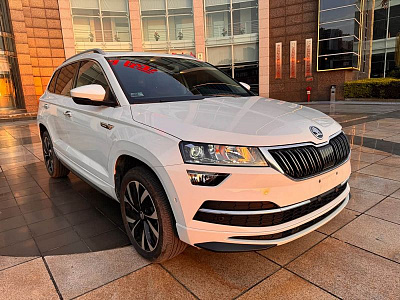 Skoda Karoq 1.4 л 2023 г. Белый, пробег 19900 км