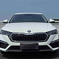 Skoda Octavia 1.4 л 2023 г. Белый, пробег 15000 км