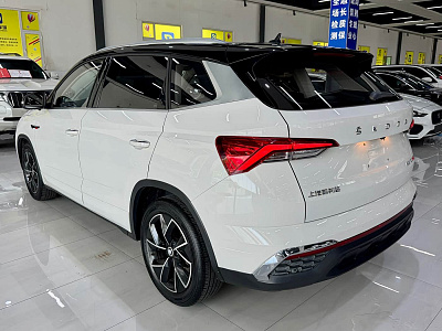 Skoda Kamiq 1.5 л 2023 г. Белый, пробег 41000 км