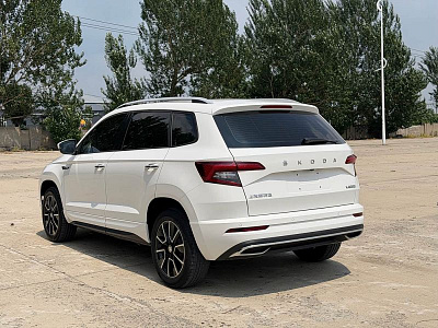 Skoda Karoq 1.4 л 2021 г. Белый, пробег 41000 км