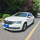 Skoda Octavia 1.5 л 2021 г. Белый, пробег 50000 км