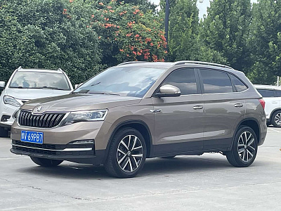 Skoda Kamiq 1.5 л 2023 г. шампань/коричневый, пробег 8300 км