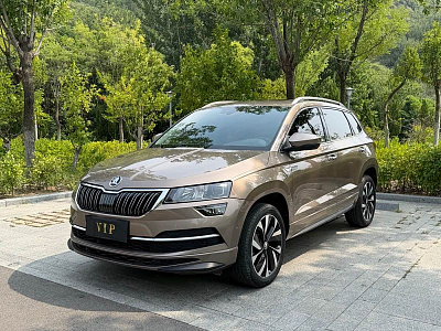 Skoda Karoq 1.4 л 2023 г. шампань/коричневый, пробег 43000 км