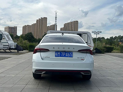 Skoda Octavia 1.4 л 2024 г. Белый, пробег 5000 км