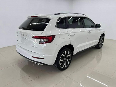 Skoda Karoq 1.4 л 2022 г. Белый, пробег 30000 км