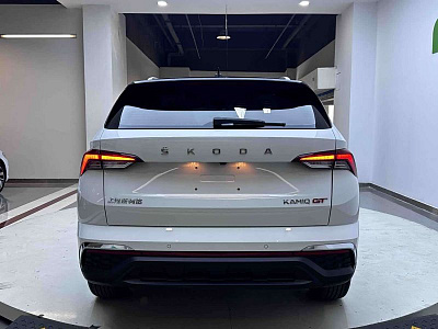 Skoda Kamiq 1.5 л 2023 г. Белый, пробег 21000 км