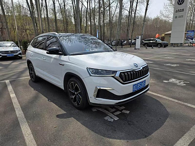 Skoda Kamiq 1.5 л 2023 г. Белый, пробег 36200 км