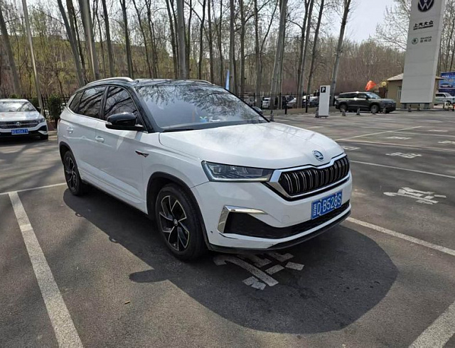 Skoda Kamiq 1.5 л 2023 г. Белый, пробег 36200 км