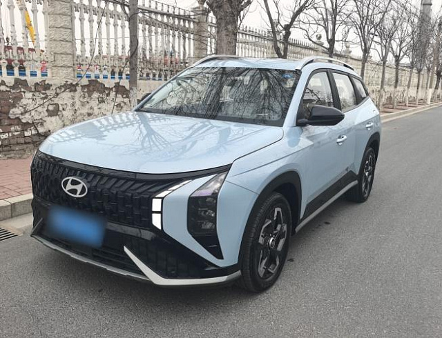 Hyundai Mufasa 2.0L
