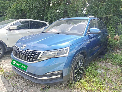 Skoda Kamiq 1.5 л 2021 г. Голубой, пробег 32200 км