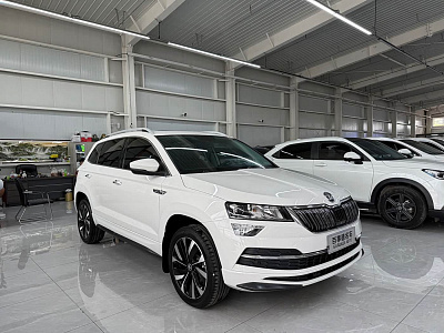 Skoda Karoq 1.4 л 2022 г. Белый, пробег 39000 км