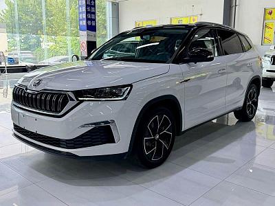 Skoda Kamiq 1.5 л 2023 г. Белый, пробег 41000 км