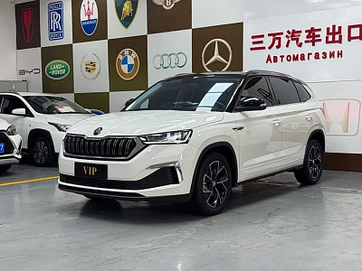 Skoda Kamiq 1.5 л 2023 г. Белый, пробег 29000 км