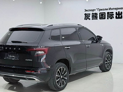 Skoda Karoq 1.4 л 2023 г. Чёрный, пробег 48000 км
