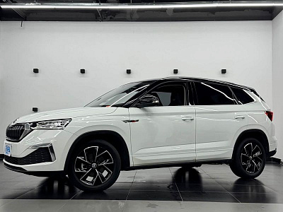 Skoda Kamiq 1.5 л 2024 г. Белый, пробег 30000 км