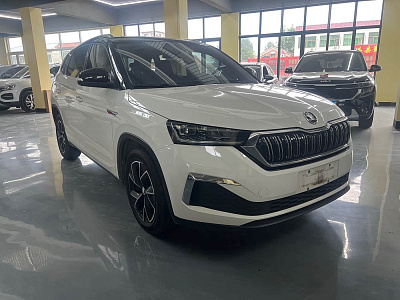 Skoda Kamiq 1.2 л 2023 г. Белый, пробег 13000 км