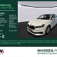 Skoda Fabia 2023 г. Белый, пробег 59900 км