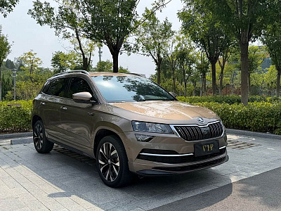 Skoda Karoq 1.4 л 2023 г. шампань/коричневый, пробег 43000 км