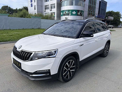 Skoda Kamiq 1.5 л 2022 г. Белый, пробег 30500 км