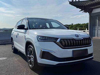 Skoda Kamiq 1.5 л 2023 г. Белый, пробег 9600 км