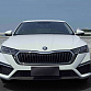 Skoda Octavia 1.4 л 2023 г. Белый, пробег 15000 км