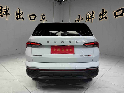 Skoda Kamiq 1.5 л 2023 г. Белый, пробег 44300 км