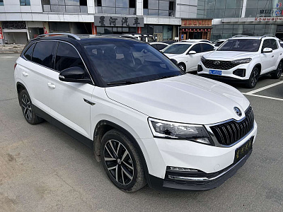 Skoda Kamiq 1.5 л 2022 г. Белый, пробег 30500 км