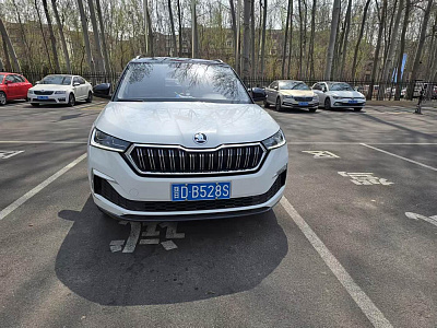 Skoda Kamiq 1.5 л 2023 г. Белый, пробег 36200 км