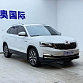 Skoda Kamiq 1.5 л 2023 г. Белый, пробег 47000 км