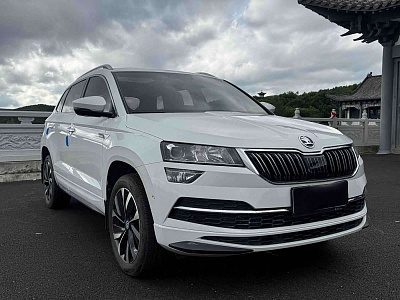 Skoda Karoq 1.4 л 2023 г. Белый, пробег 19000 км
