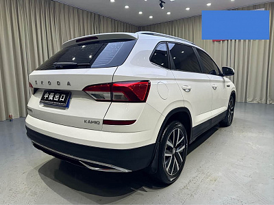 Skoda Kamiq 1.5 л 2023 г. Белый, пробег 41000 км