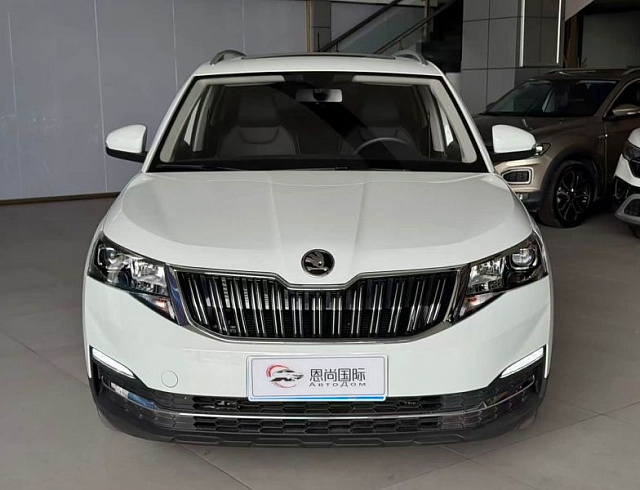 Skoda Kamiq 1.5 л 2023 г. Белый, пробег 49000 км