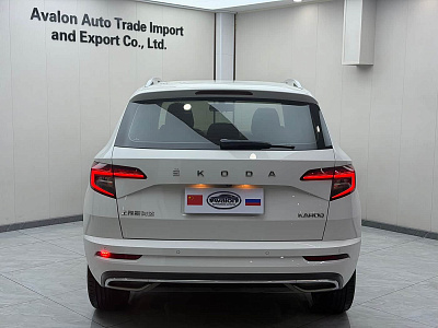 Skoda Karoq 1.4 л 2022 г. Белый, пробег 29900 км
