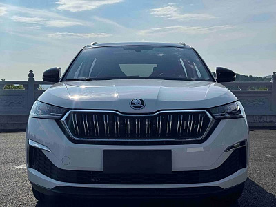 Skoda Kamiq 1.5 л 2023 г. Белый, пробег 9600 км