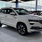 Skoda Karoq 1.4 л 2023 г. Белый, пробег 34000 км
