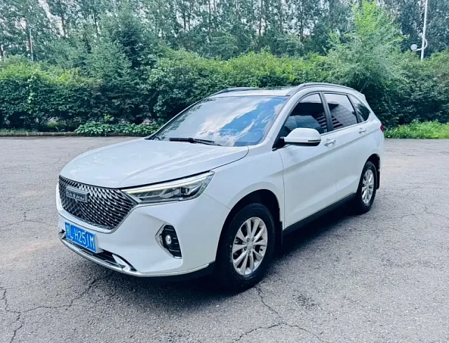 Haval Haval M6 1.5 л 2023 г. Белый, пробег 28000 км