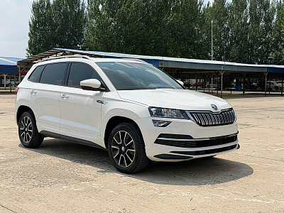Skoda Karoq 1.4 л 2021 г. Белый, пробег 41000 км