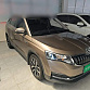 Skoda Kamiq 1.5 л 2022 г. шампань/коричневый, пробег 42300 км