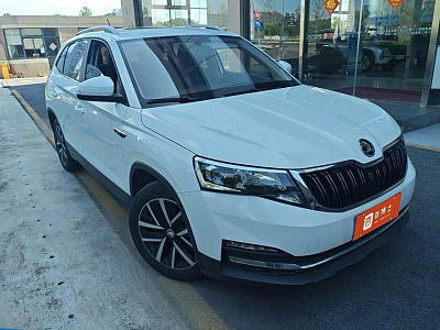 Skoda Kamiq 1.5 л 2022 г. Белый, пробег 10300 км