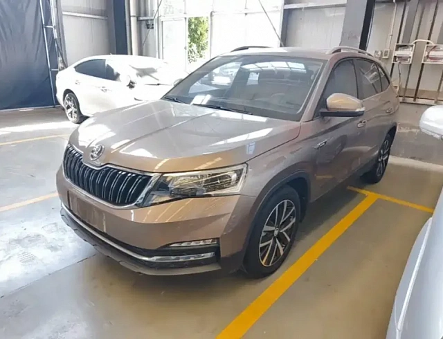 Skoda Kamiq 1.5 л 2023 г. шампань/коричневый, пробег 44900 км