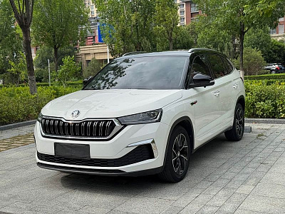 Skoda Kamiq 1.5 л 2022 г. Белый, пробег 33000 км