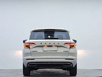 Skoda Karoq 1.4 л 2022 г. Белый, пробег 21000 км