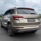 Skoda Karoq 1.4 л 2022 г. шампань/коричневый, пробег 48000 км