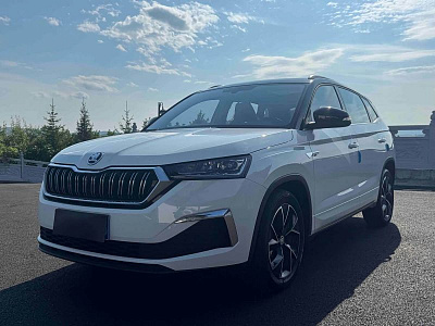 Skoda Kamiq 1.5 л 2023 г. Белый, пробег 9600 км