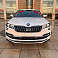 Skoda Karoq 1.4 л 2023 г. Белый, пробег 19900 км