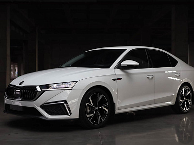 Skoda Octavia 1.4 л 2022 г. Белый, пробег 24800 км