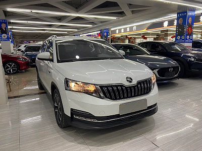 Skoda Kamiq 1.5 л 2023 г. Белый, пробег 12000 км