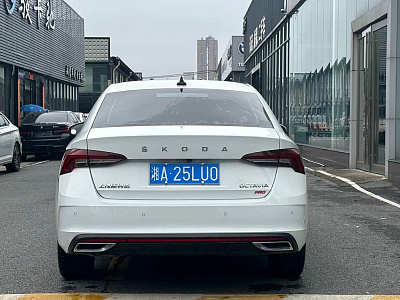 Skoda Octavia 1.4 л 2024 г. Белый, пробег 6000 км