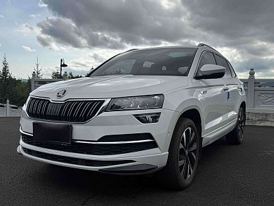 Skoda Karoq 1.4 л 2023 г. Белый, пробег 19000 км